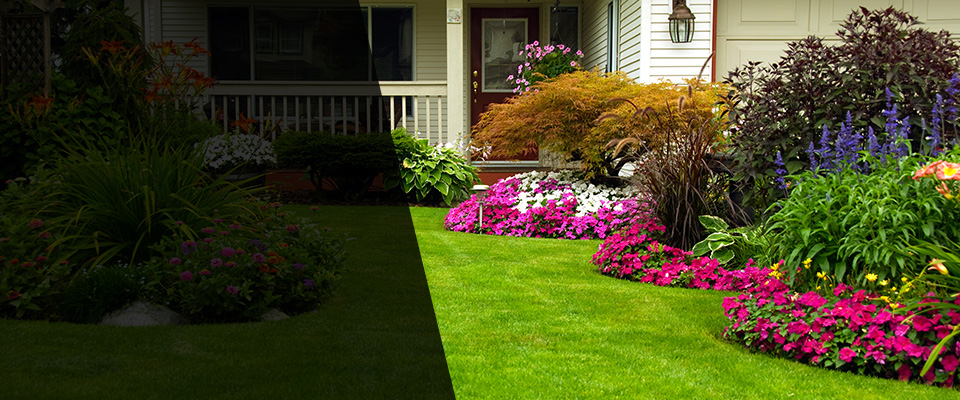 Mandeville Landscapers