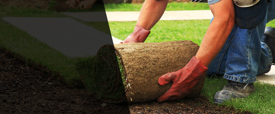 Mandeville Landscapers